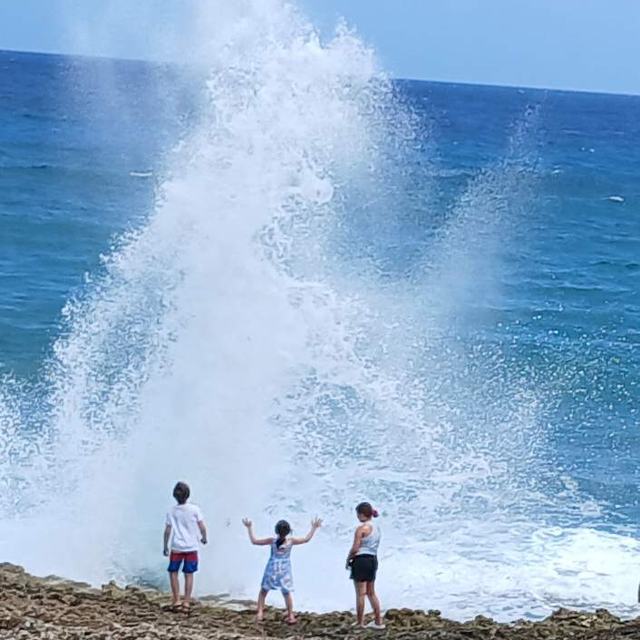 Blowhole spray